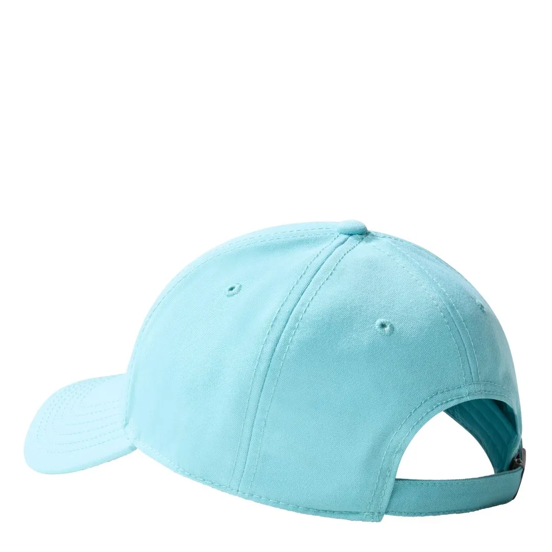The North Face Recycled 66 Classic Pet