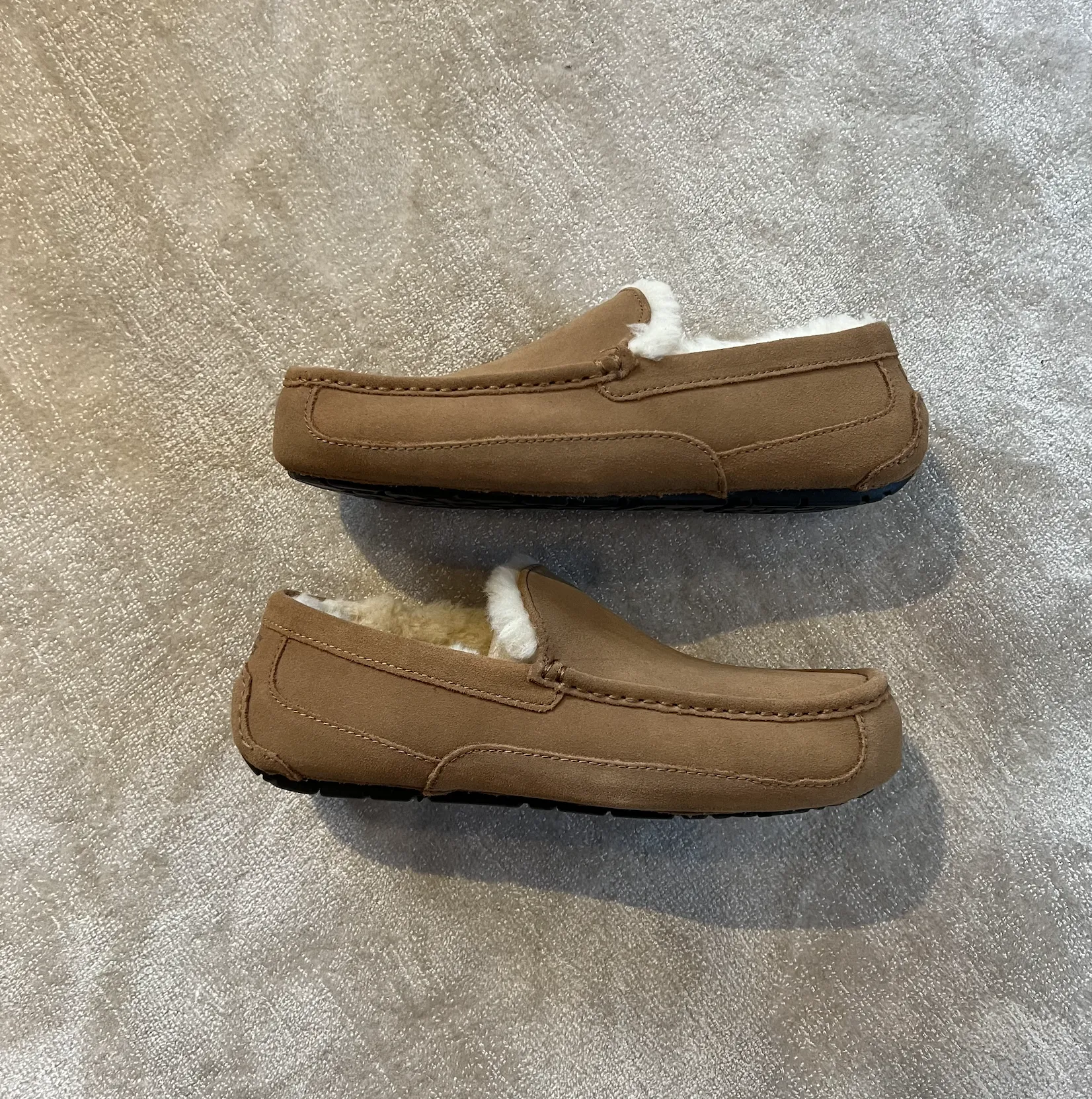 UGG Heren Ascot Chestnut